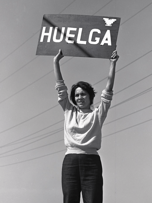 Screenshot 2026-03-30 at 12.34.54 PM